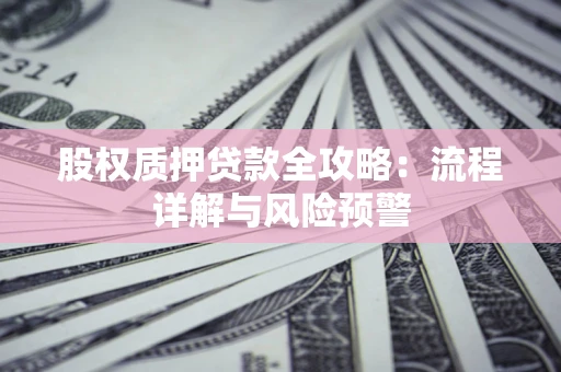 北京股权质押贷款全攻略：流程详解与风险预警