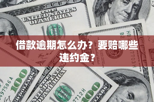北京借款逾期怎么办？要赔哪些违约金？