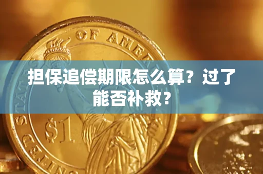 北京担保追偿期限怎么算？过了能否补救？